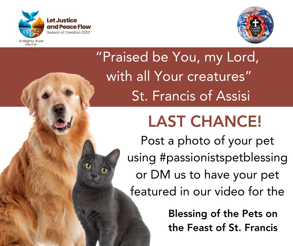 HolyProvince's tweet photo. Last chance! Wednesday is the feast of St. Francis and we will have a special blessing for pets. Share a photo using #passionistspetblessing to be included in our Feast Day video!

#SeasonofCreation2023 #seasonofcreation #seasonofcreationpassionists #passionists #passionistshcp https://t.co/vh8vGj5pjw