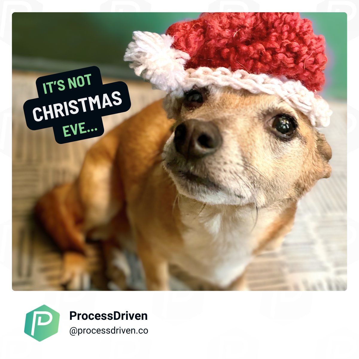 ProcessDriven tweet media