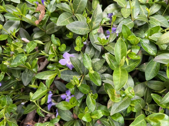 DCLarry's tweet image. My next dispute resolution blog entry will focus on the lack of a fair complaint process by most social media networks.   Ideas?  DCLarry@aol.com.