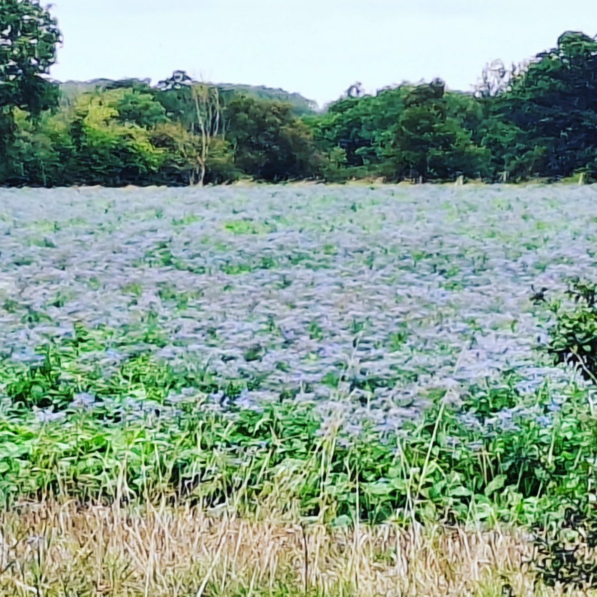 SteveGdfry's tweet photo. Starting my #Rideacrossbritain journey today. 45 miles through Bedfordshire from home
#BabbleRab2024
#RideacrossBritain2024
#LEJOG https://t.co/t6BD2ymtHO
