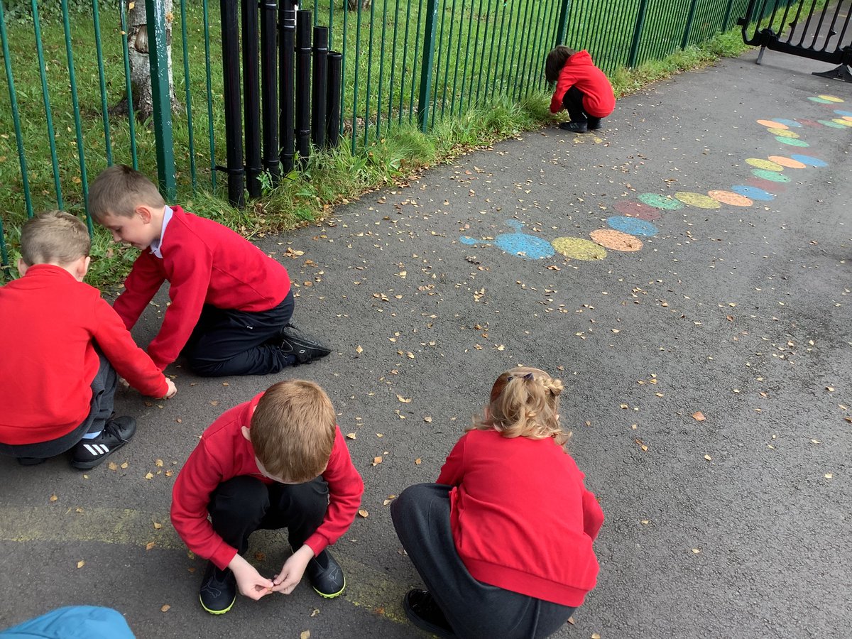 Miss Harris Dosbarth 3 tweet media