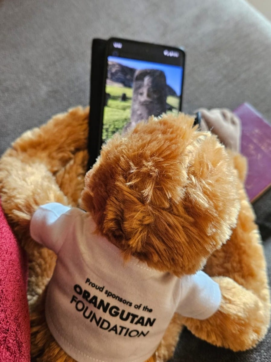 InLoco Events Ltd tweet media