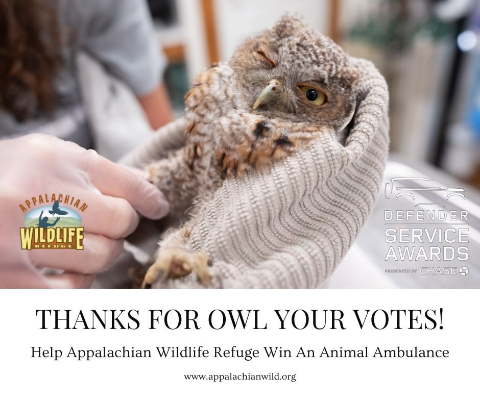 Thanks for OWL your voting!! And while we cannot see how we are ranking until voting ends we appreciate OWL of your support! 
.
PS Got Vote!
landroverusa.com/experiences/ev…