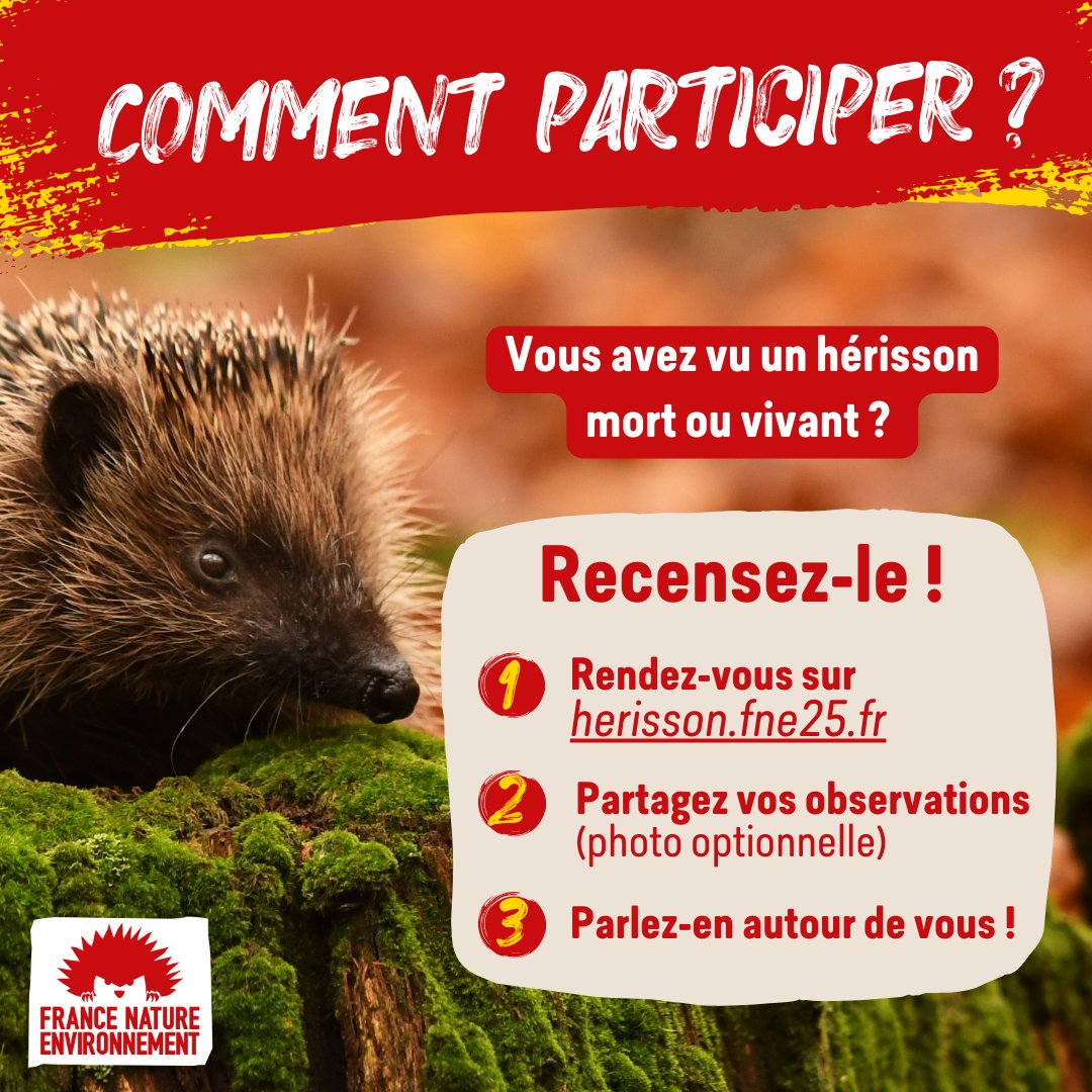 FneIDF's tweet image. 🦔 Saviez-vous que le #hérisson est une espèce protégée ? 
Rejoignez #OpérationHérisson pour contribuer au suivi annuel pour : 
- améliorer les connaissances sur l'espèce et les mesures de préservation
- sensibiliser aux gestes adaptés 
👉RDV sur herisson.fne25.fr