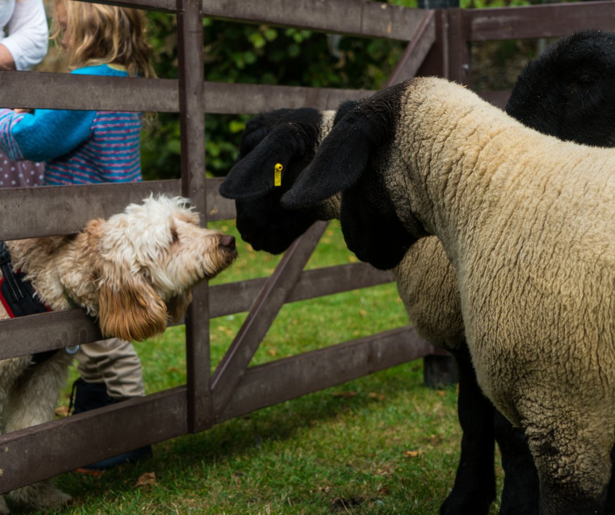 Lightwave Suffolk tweet media