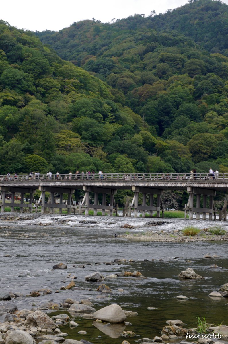 haruobb's tweet photo. お疲れ様でした。
京都・嵐山と言えば、この風景。
桂川を流れと渡月橋。
バックの嵐山が雄大な感じが京都らしい。
嵐山の色が染まれば、
綺麗な紅葉と出会う事が出来るのだろう。
そんな事を想像しているが、
行ってみたものだけが分かるものだ
#写真 #phoo #京都 #嵐山 #紅葉
#渡月橋 #KYOTO #風景 https://t.co/1eWqQ4zCFx