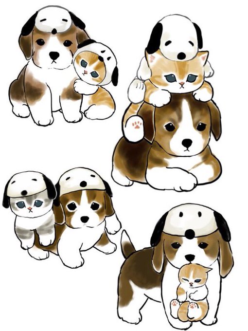 「shiba inu simple background」 illustration images(Latest)｜5pages