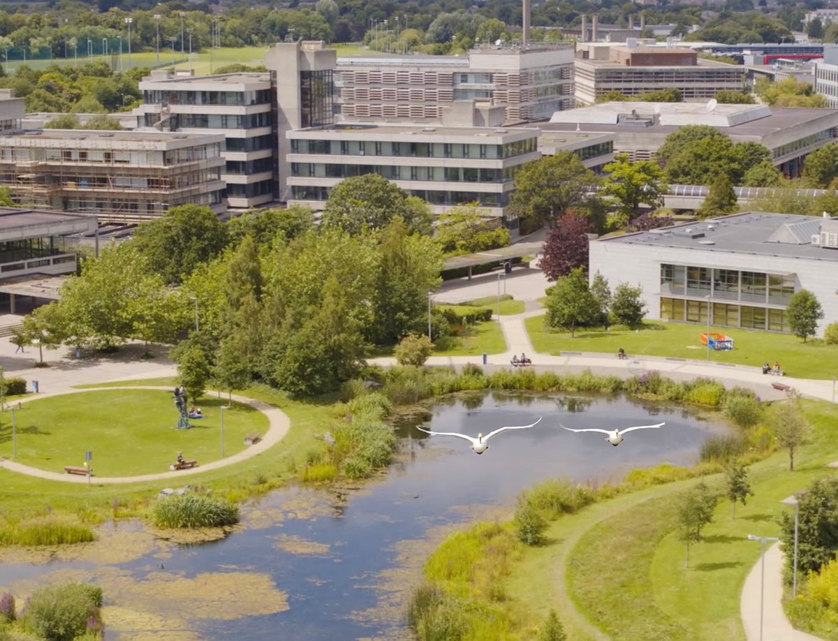 UCD School of Psychology has a 3 year funded Ad Astra PhD opportunity. Interested in executive function, child development and learning? -- Deadline 26th October - details at ucd.ie/psychology/new…