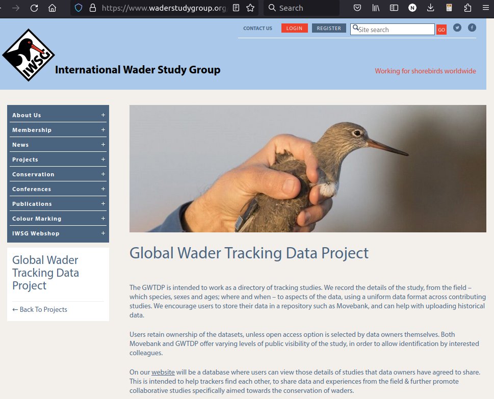 Josh Nightingale | Global Wader tweet media