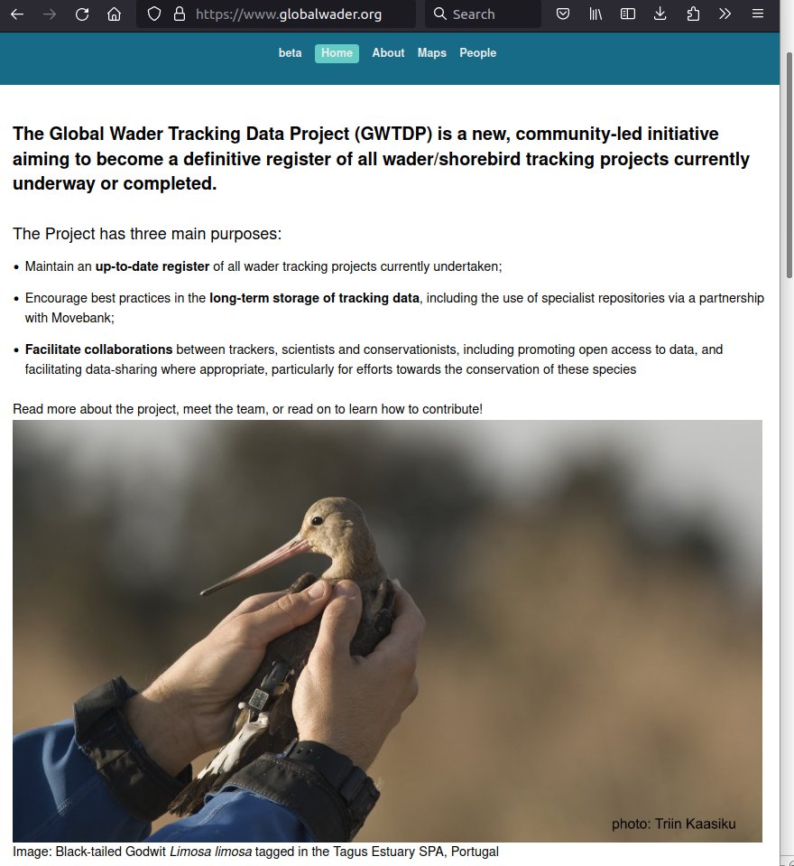 Josh Nightingale | Global Wader tweet media