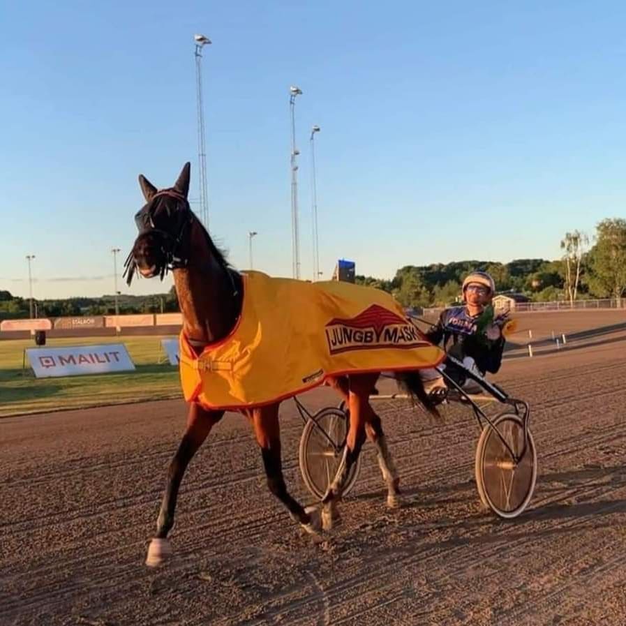 Vilket lopp hon gör vår Prinsessa ❤️ Parfait A.F. seger på Färjestadsovalen idag från spår 8 jösses vad bra hon var. Gick 1.11.3 1640a vilken kusk vi har Calle Jepson grym styrning. Stort Grattis till vårt Stall Martinson, skötare Enya Gustafsson o kusken Calle Jepson.