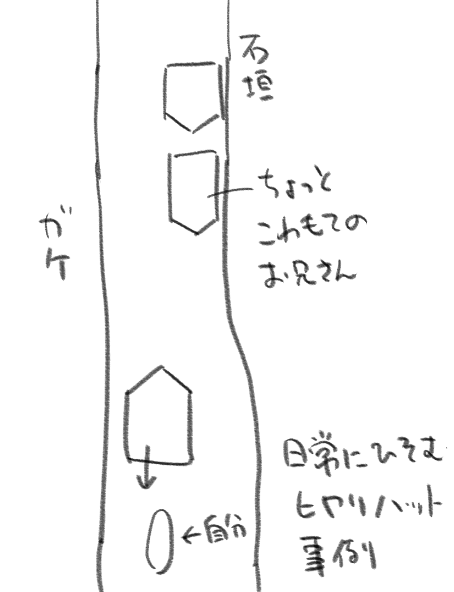 何もすることがないので夜中テントの中で事故のことを考えた。相手は20くらいの息子連れだった。もしかしたらお父さん、日頃接点がなかった息子と四国カルスト行くの楽しみにしてたんじゃなかろうか。自分はどなったりして少し言い過ぎただろうかと自己嫌悪した。事故現場はこんな感じ。 