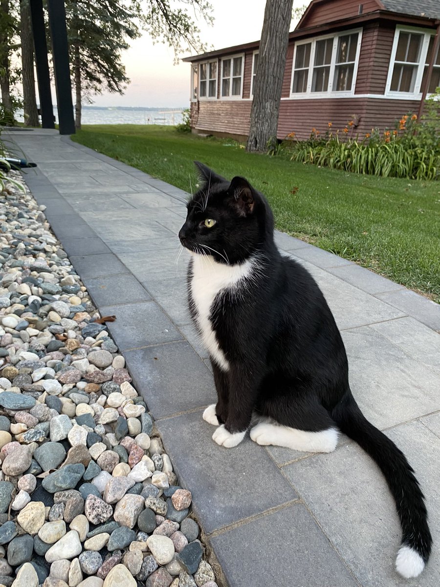 Nick Horob tweet media