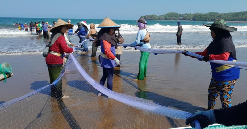 detikcom's tweet photo. Saryono tak menyangka, ikan kakap merah yang menyangkut di jaringnya membuatnya ketiban untung Rp 70 juta 🤩🤩 Rejeki nomplok!