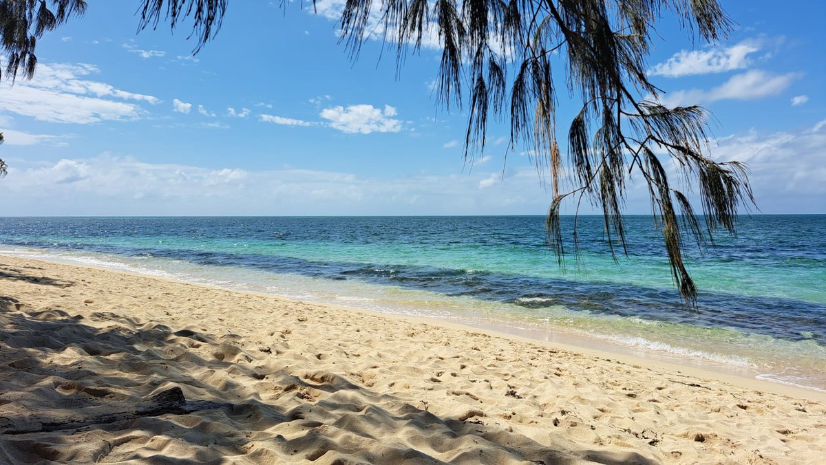 LaurCreep's tweet photo. Full day at Green Island, just 45 min boat ride from Cairns https://t.co/DNzqB5K9Go