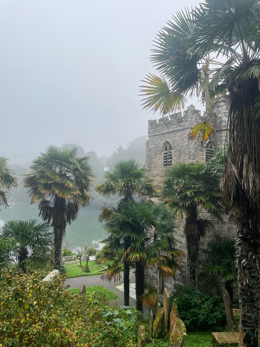 cornishoutdoors's tweet image. This morning’s run to St Mawes &amp;amp; St Just in Roseland. A little misty #britishweather #Cornwall #roselandpeninsula
