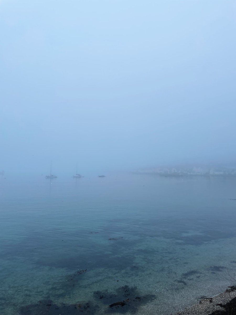 cornishoutdoors's tweet image. This morning’s run to St Mawes &amp;amp; St Just in Roseland. A little misty #britishweather #Cornwall #roselandpeninsula