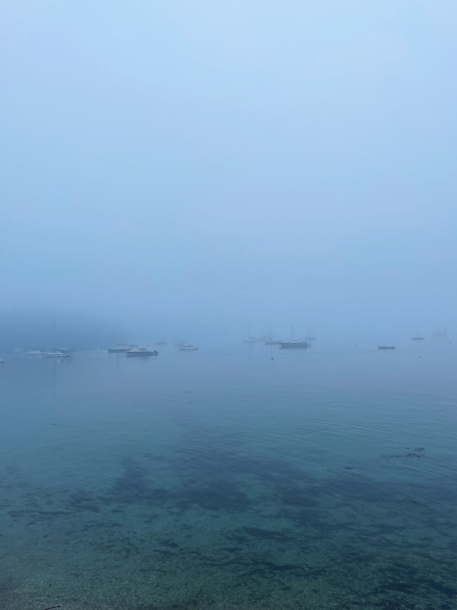 cornishoutdoors's tweet image. This morning’s run to St Mawes &amp;amp; St Just in Roseland. A little misty #britishweather #Cornwall #roselandpeninsula