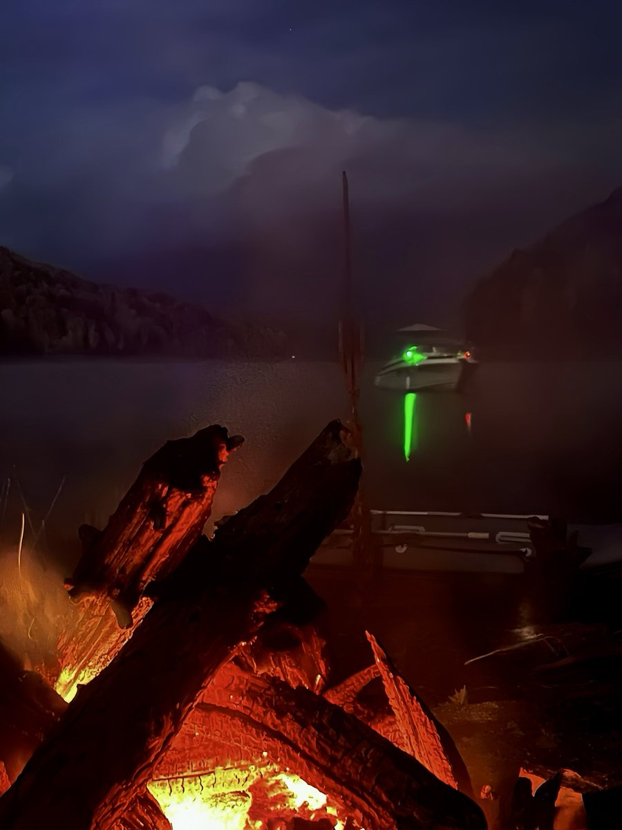 Alt-bird (@alt_bird) on Twitter photo 