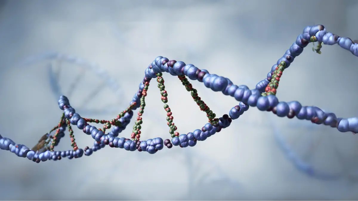 TekCrispy tweet media