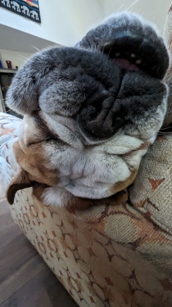 Gowron Swanson tweet media