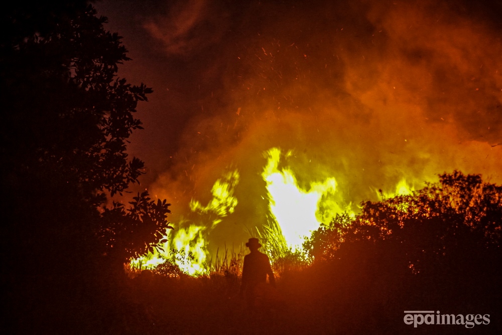 EPA_Images's tweet photo. A firefighter works to extinguish a land fire at Palemraya Regency in Ogan Ilir, South Sumatra, Indonesia, 02 October 2023. 📷️ EPA / Muhammad Fajri

#Sumatra #fire #wildfire #epaimages https://t.co/NVCKxlDO40