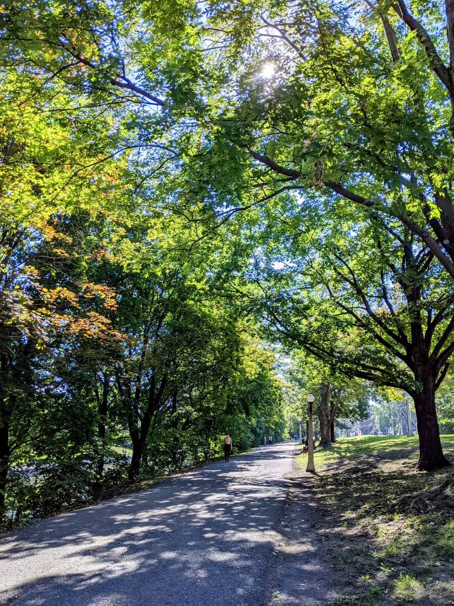 October in Ottawa. Fall colors but summer vibes.