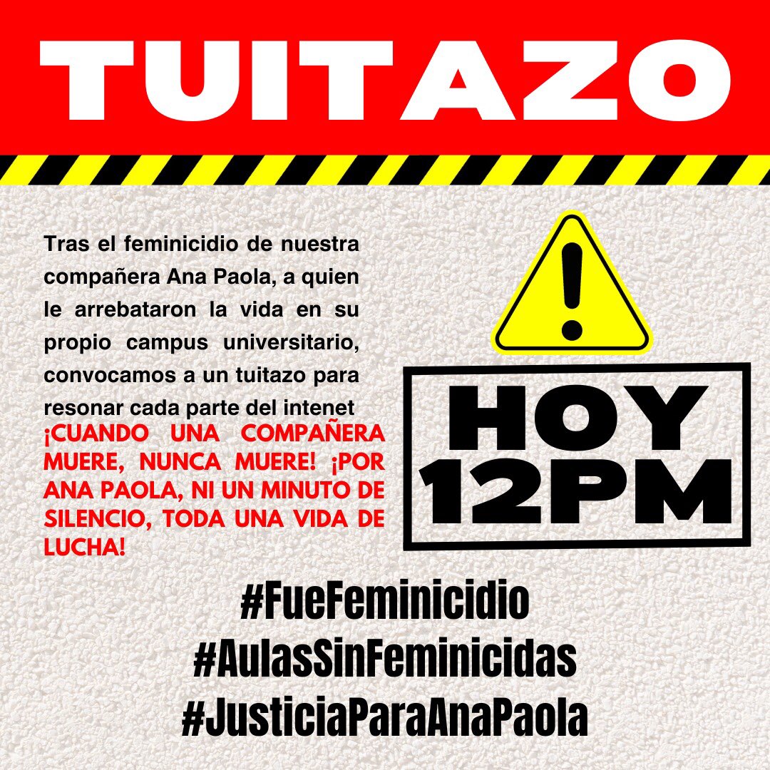 Fer tweet media