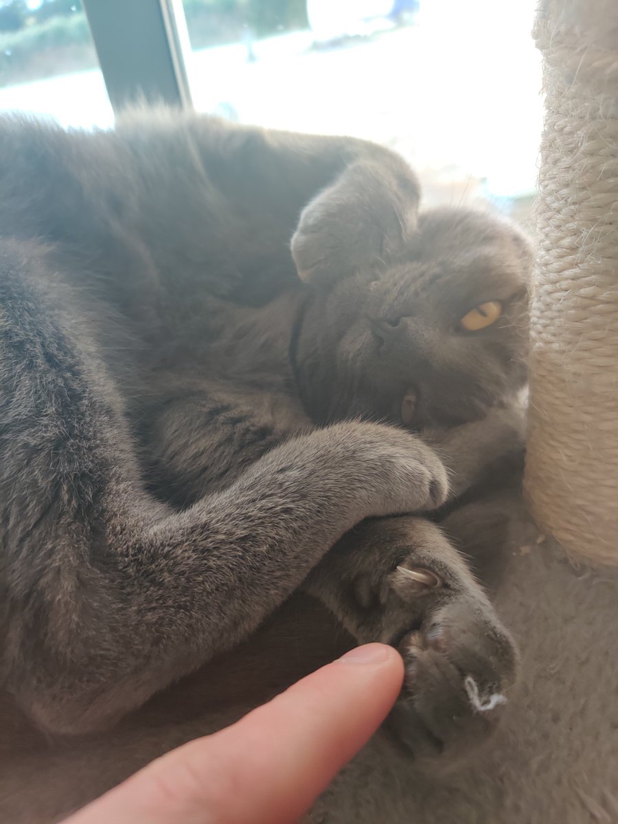 KCB Habysss tweet media