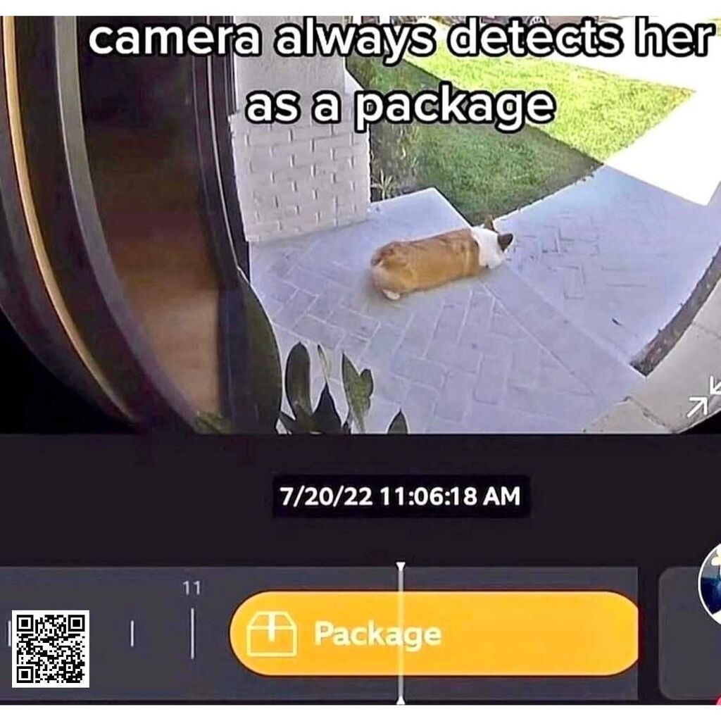 CocoPolkaCo's tweet photo. Meme Monday with https://t.co/a43OFaF9H6. No lies detected.

https://t.co/TQ681hK67M

#cocopolka #mememonday #photoalbums #smallalbumsforbigmemories #corgie #package #packagedetected https://t.co/656zHB7Joo https://t.co/KN2QMQhl09