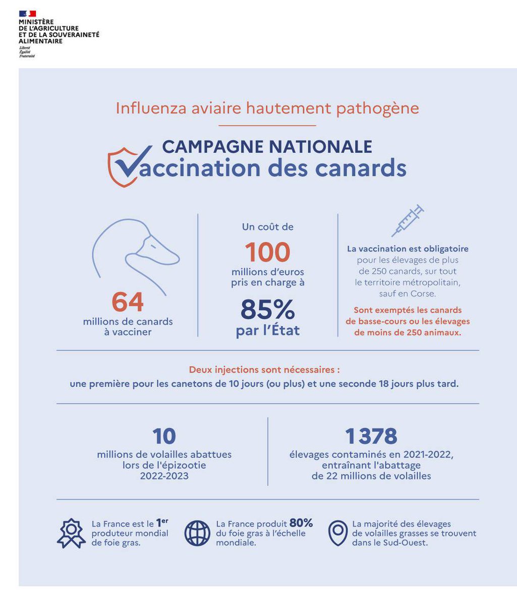 Alexandre_Arlin's tweet photo. Merci M. le Ministre @MFesneau d’être venu dans le #Gers annoncer que la France sera le premier pays de l’Union européenne à vacciner contre l’influenza aviaire. 🇫🇷🇪🇺🦆
#OnLeDit #OnLeFait👏 https://t.co/JdmcunMdgn