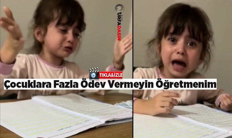 urfadasin's tweet image. Bu kadar ödev verip ağlatmayın şu çocuğu urfadasin.com/bu-kadar-odev-… #Urfa #sanliurfa #Odev