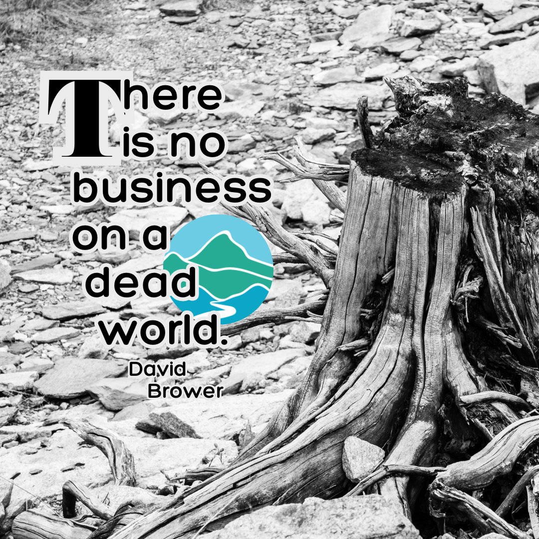 climate_land's tweet photo. There is no business on a dead world.

-David Brower, Environmentalist

#thislandisyourland #truth @vasierraclub https://t.co/ezvzD9bdcu