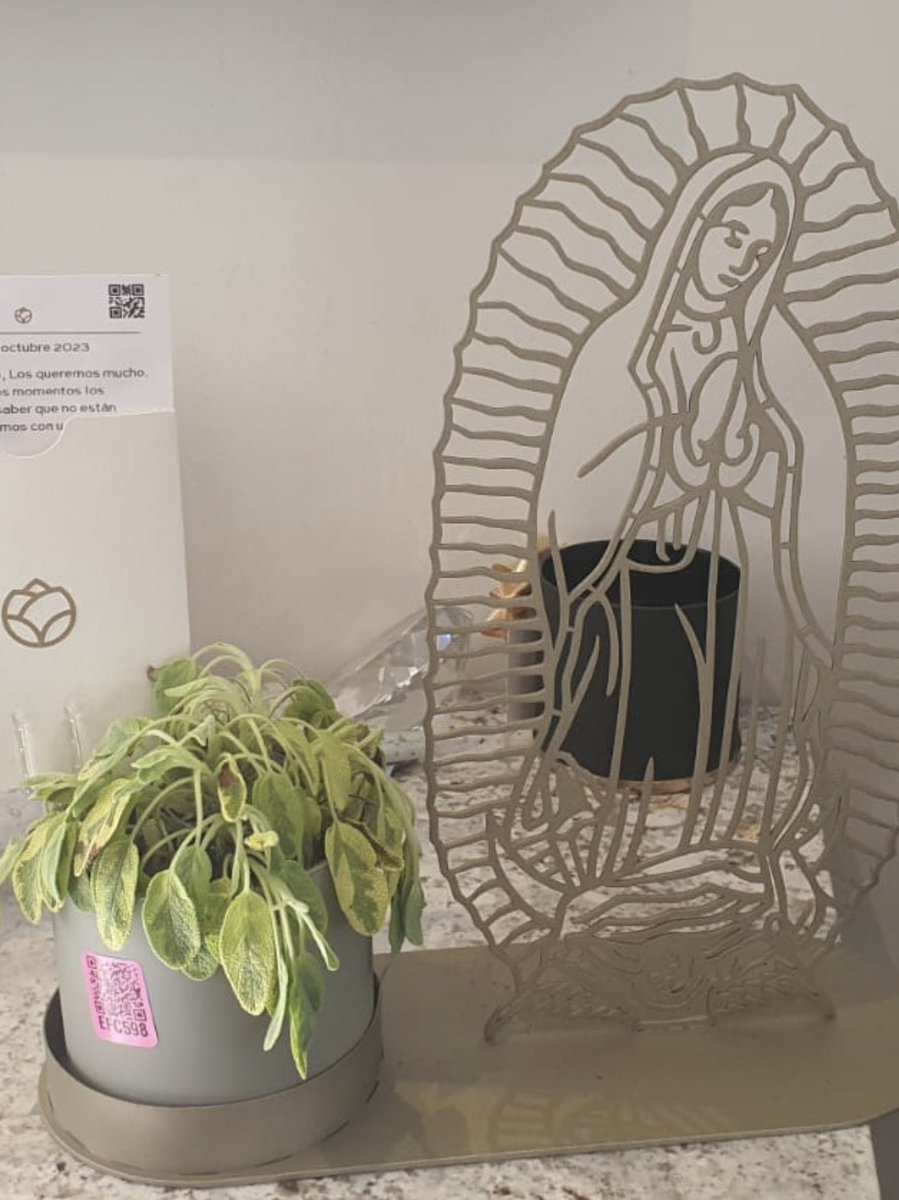 Luly Olvera tweet media