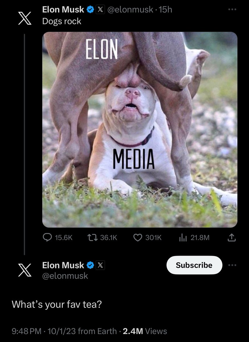 Best of Dying Twiter tweet media