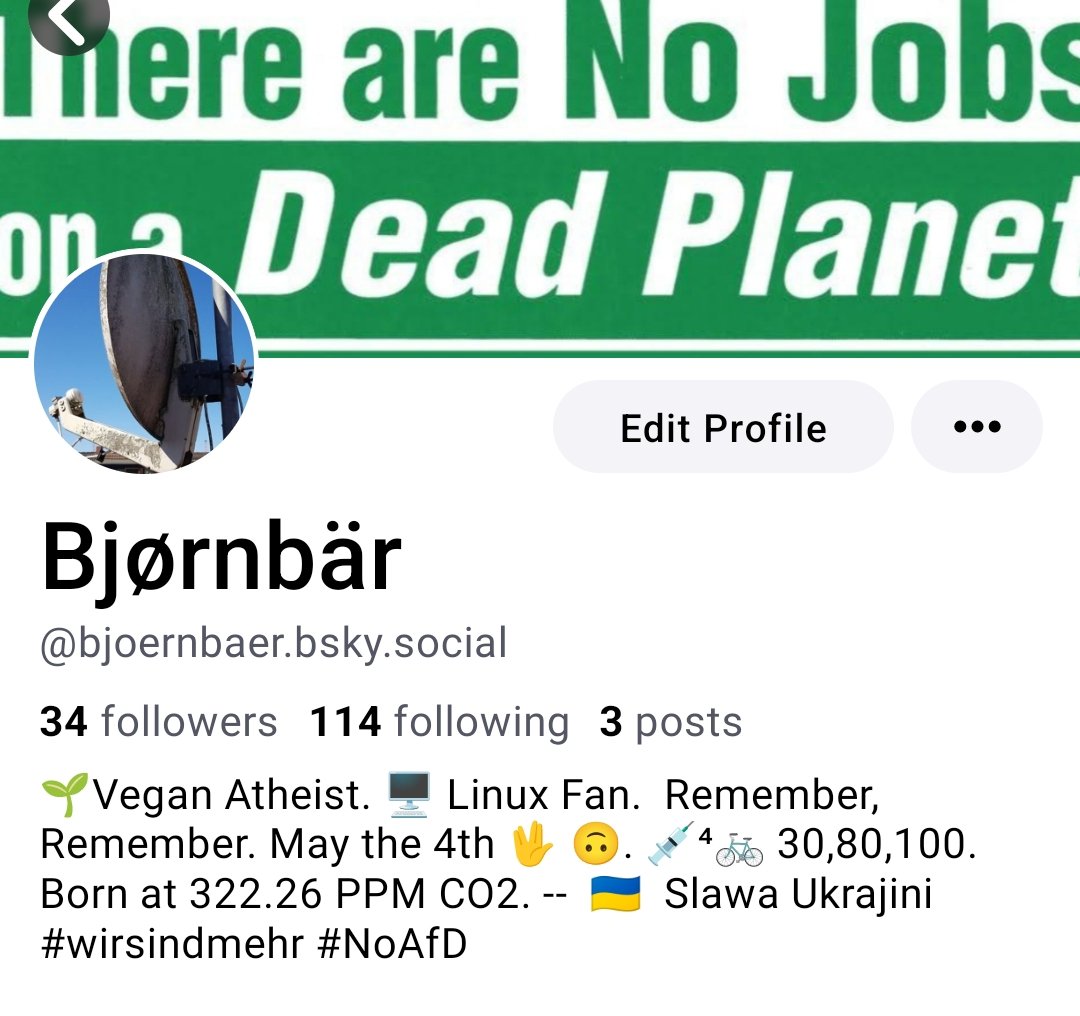 Björnbär tweet media