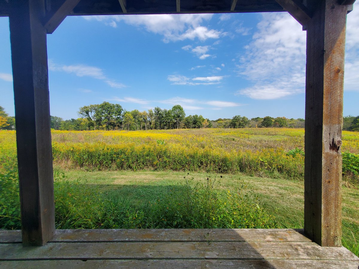 samberk_12's tweet photo. Thank you to @ILplants for having me this weekend at the annual gathering! I enjoyed giving my talk, meeting new botanist friends, and exploring some beautiful prairie remnants. https://t.co/ClqV8aSfg0