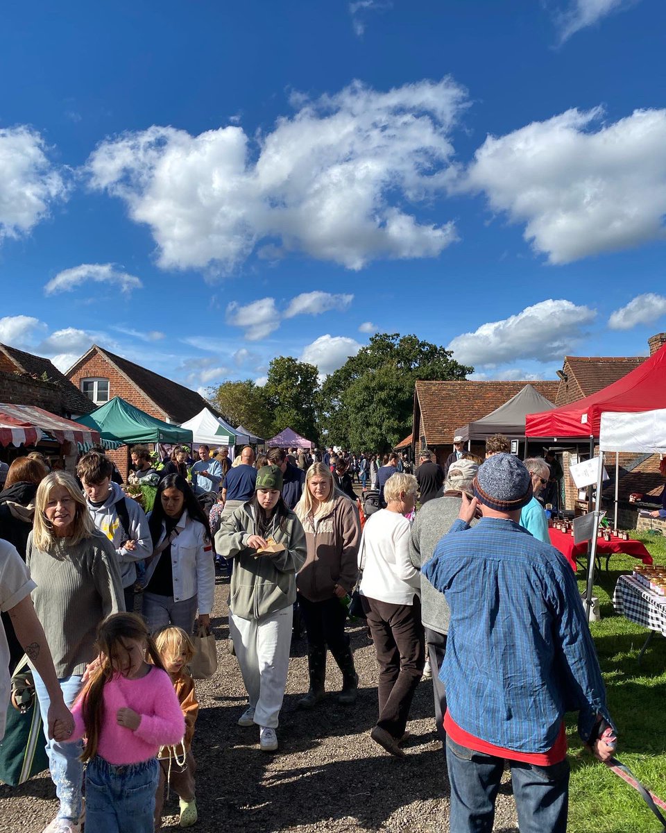 Food Gatherer tweet media