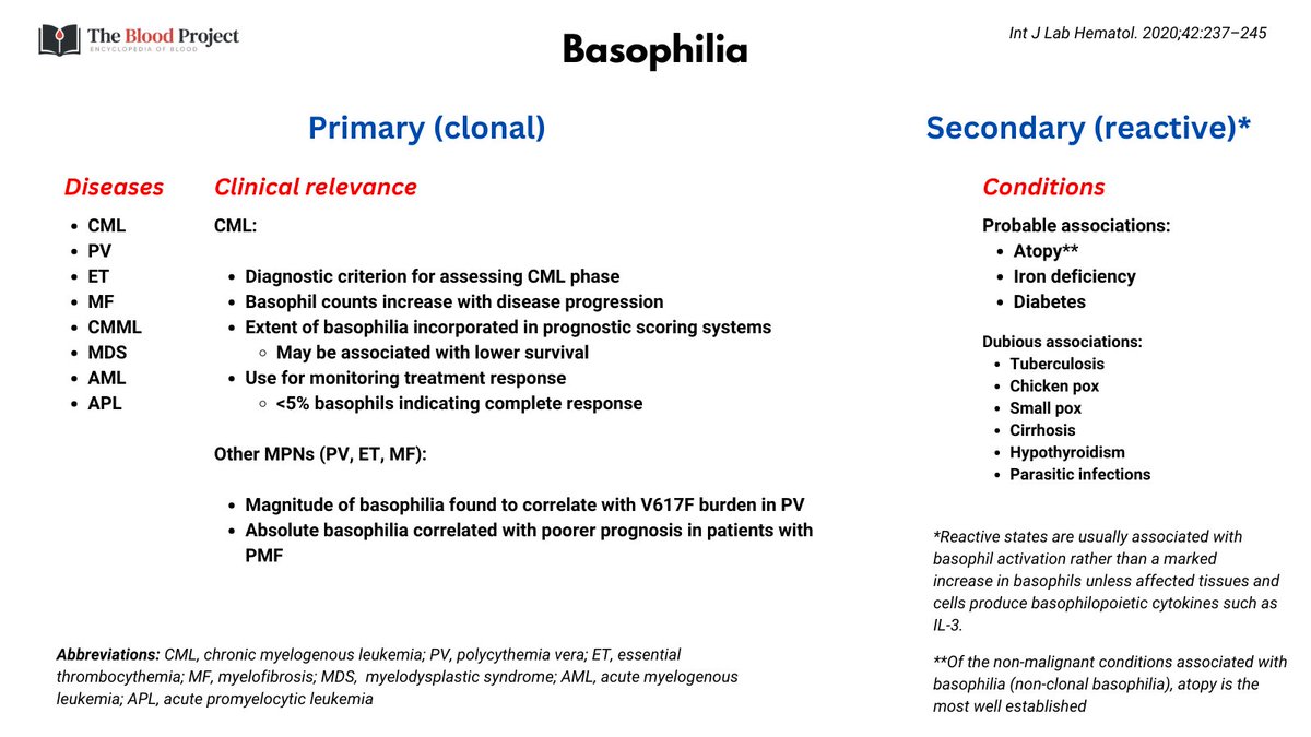 1/5 BASOPHILIA I tweeted a yesterday poll asking to choose which of two