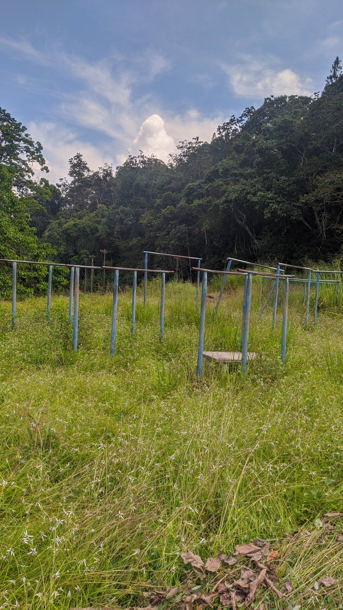 Fab_Ulous69's tweet image. Hilo de ✨presencialidad✨