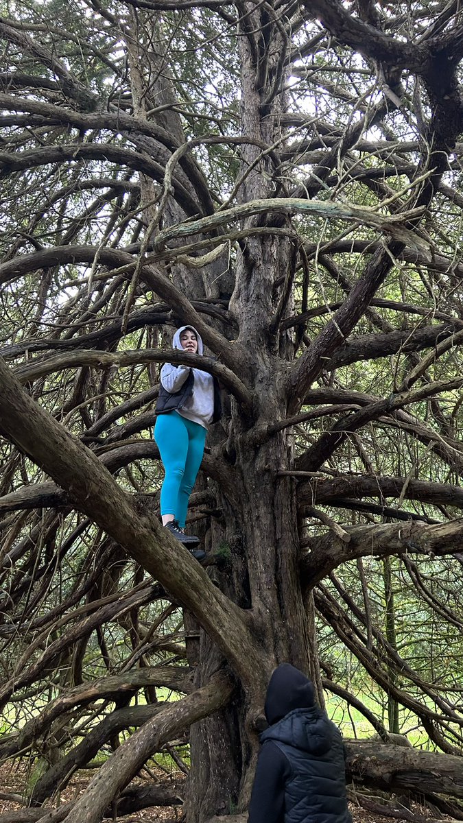 Nevis House @ DHS tweet media