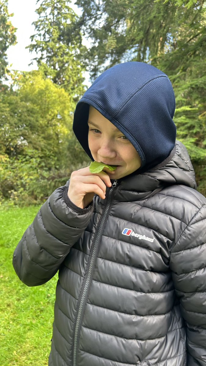 Nevis House @ DHS tweet media