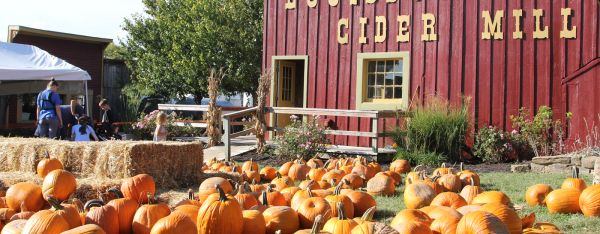 Jaust34's tweet photo. If you are looking for the perfect pumpkin – check out these pumpkin patches around the #KansasCity area. It's October fun the whole family will enjoy! https://t.co/jgB1ScZNqj https://t.co/Ztx5gh070V