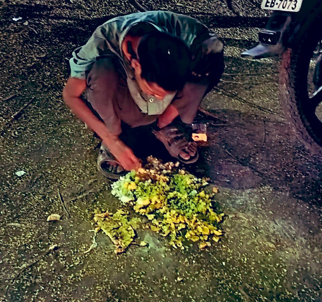 thealokputul's tweet photo. मेरे मित्र सुनील प्रकाश ने बिलासपुर शहर के पुराने हाईकोर्ट रोड की तस्वीर साझा करते हुए लोगों से अनुरोध किया है कि खाना सड़क पर यूँ ही फेंकने या रखने के बजाय उसे पत्तल पर रखा करें क्योंकि कभी-कभी उसे मनुष्य भी खाते हैं.

सुनील वैश्विक भूख के सूचकांक के पचड़े में नहीं पड़ना चाहते. https://t.co/UuNFakCrKE