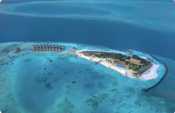 DWT Travel tweet media