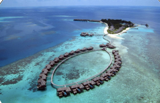 DWT Travel tweet media