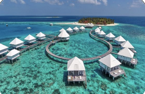 DWT Travel tweet media