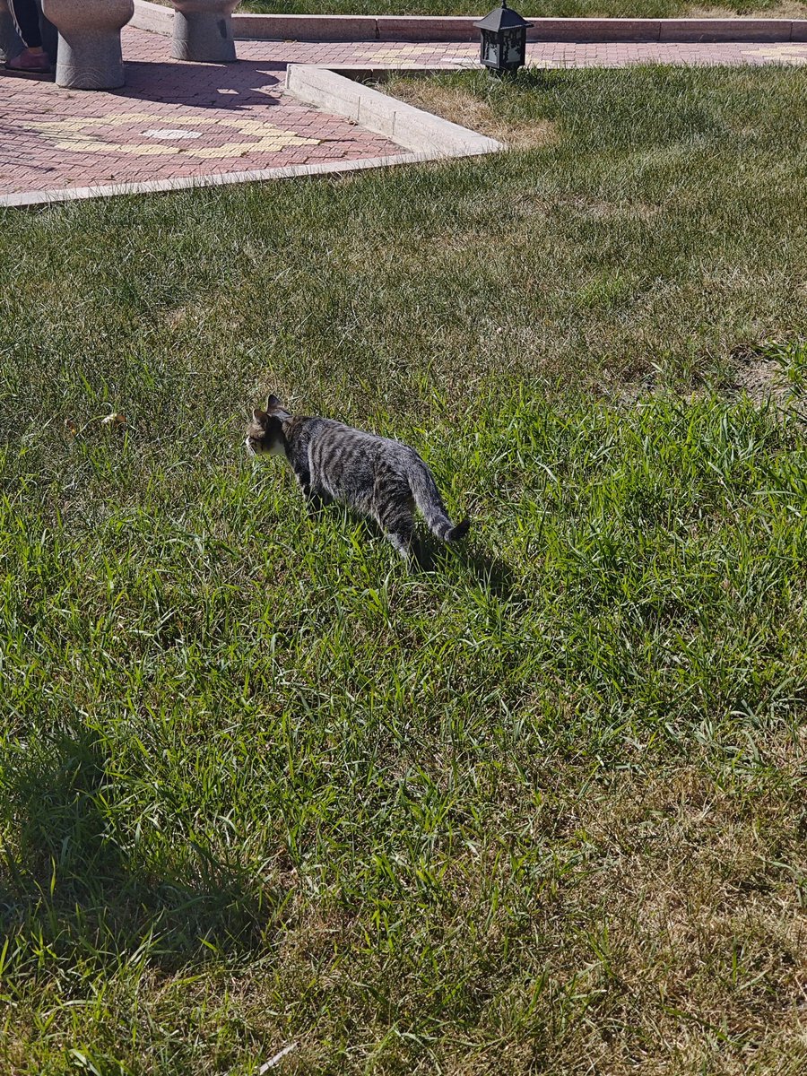 Jake Cornell (@jakecornell06) on Twitter photo 