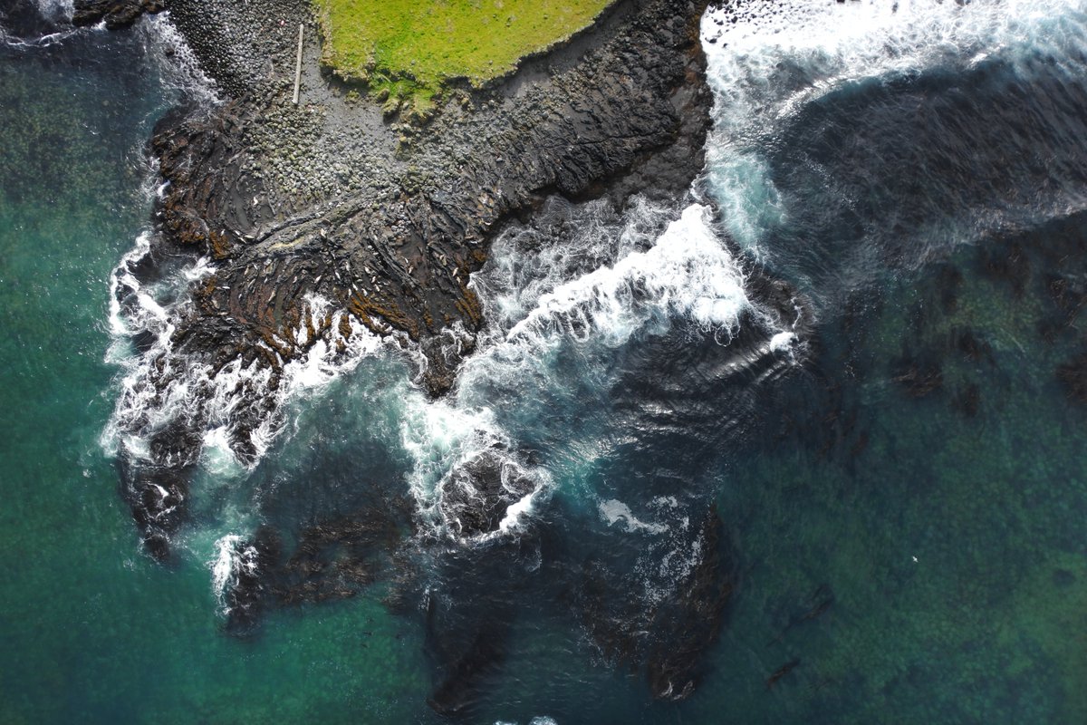 David W Johnston tweet media