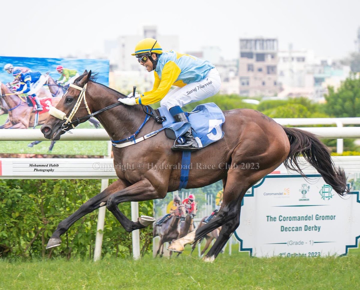 Z9Habib's tweet photo. The Coromandel Gromor Deccan Derby - Grade 1 (2000 M) 🏆
Synthesis 🐎
Suraj Narredu 🏇
Trainer: @RajeshNarredu
#HyderabadRaceClub #HRC #NikonIndia #MohammedHabib #HyderabadHorses #HorseRacing #Hyderabad https://t.co/r7lPf8qB86